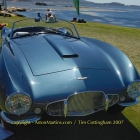 dsc_4846_db24_bertone_spider