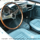 dscn0102 db24_bertone_spider