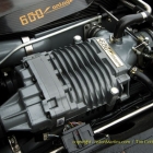dsc_5154_v600_engine_0