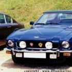 am1146