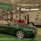 dsc_7880-copy