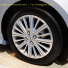 dsc_1449_cygnet_wheel