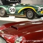 Photo 23-07-2016, 20 04 54.jpg