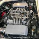 1BEC4FBC-0607-4384-95F7-80131F923982