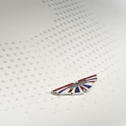 bonnet-badge[1]