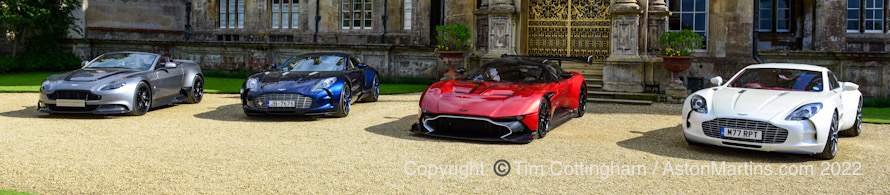 Line up of rare Aston Martins